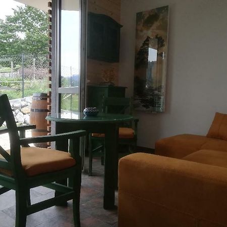 Apartament Zielony Szczyrk Extérieur photo