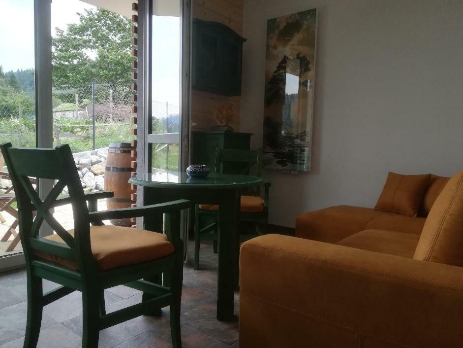Apartament Zielony Szczyrk Extérieur photo